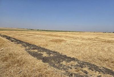 Teren de 16700 mp, în Periferie - 5