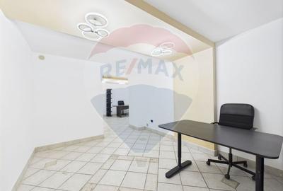 Apartament in vila de inchiriat in zona Kiseleff - 13