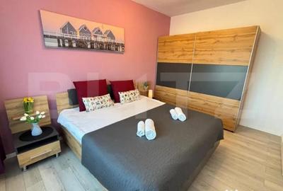 Apartament cu 2 camere decomandat în Dumbrăvița - 2