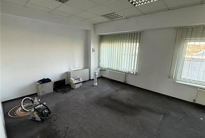 Spațiu comercial, de 350 mp, în Turnișor - 10