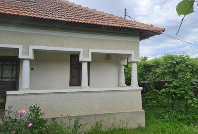 Gratuit pentru o familie cre?tina, cu copii, caz social, casa, 4 camere, la 4 km de Vanju Mare - 9