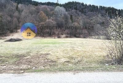 TEREN zona de munte TARCAU - 7