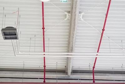 Spatiu industial 1700 mp , Timisoara exterior NORD - 9