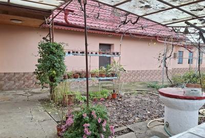 Casă cu 2 camere cu Teren 1215 Mp în Central - 3