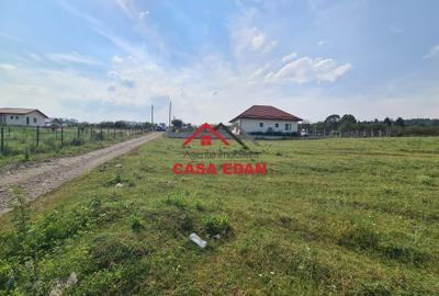 Teren Construcții intravilan de 7500 mp, în Câmpina - 1