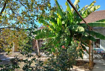 Oferta: casa mare Salonta - 2