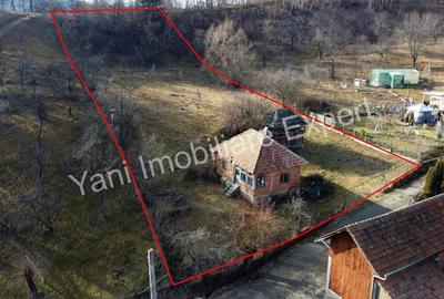 Teren în Cicănești