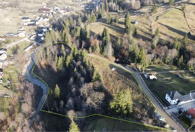 Teren intravilan de 14927 mp, în Vatra Moldoviței - 2