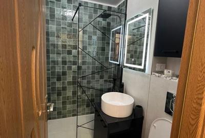 Apartament cu 2 camere decomandat în Lujerului - 4