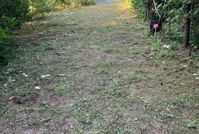 Teren de 1050 mp, în Păușești - 3