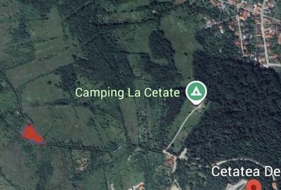 Spațiu comercial, în Tisa - 2