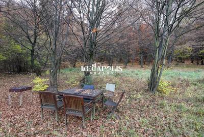 Iesire direct in Padure / Green Park Villas - 8