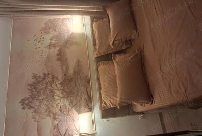 Drumul Taberei apartament 3 camere - 4