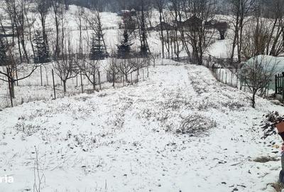 Casă cu 3 camere în Valea Iașului - 6