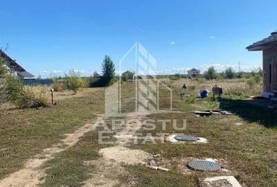 Teren 708 mp intre case - intrare Giarmata Vii - 2