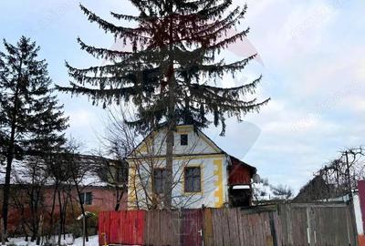 Casă cu Teren 780 Mp în Moșna - 5