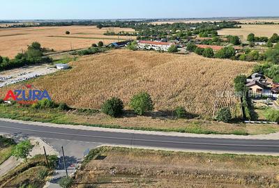 Teren Construcții intravilan de 7976 mp, în Crângurile - 4