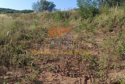 Teren cu autorizatie si proiect de construire, utilitati, Smeura - 6