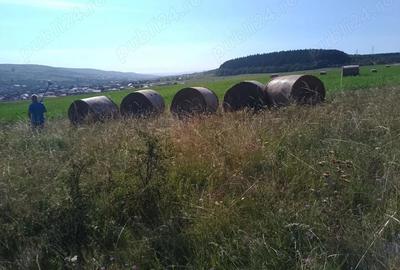 Teren de 8000 mp, în Chinteni - 9