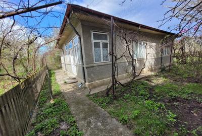 Casă cu 4 camere în Bordeasca Nouă - 3