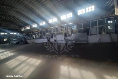 Spațiu comercial, de 3,500 mp, în Bereasca - 5