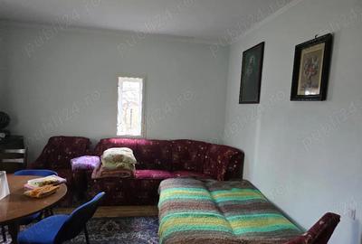 Casă cu 3 camere cu Teren 2500 Mp în Pietroasa - 2