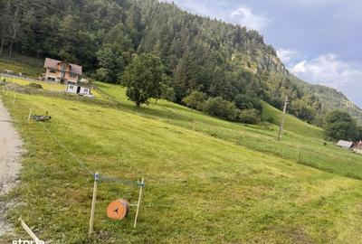 Spațiu comercial, în Moieciu - 2