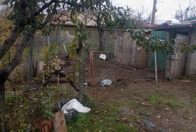 Casa batraneasca, 1000 mp, la 14 km de oras - 4