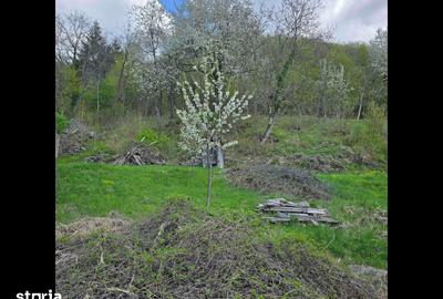 Teren de 3000 mp, în Certeju de Sus - 10