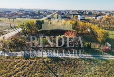 Teren intravilan imprejmuit, vegetatie matura 1200mp Sag Manastire - 2