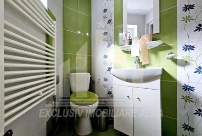 Casa de vacanta cu potential de Pensiune Turistica, Ramet - 9