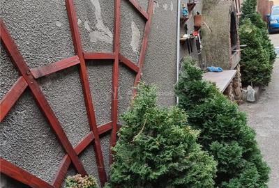 2 cam - zona Parneava - la casa - 8