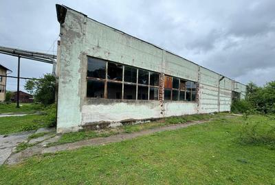 Oportunitate investitie - Covasna 21000mp intravilan - 13