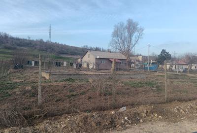 Spațiu comercial, în Peștera - 3