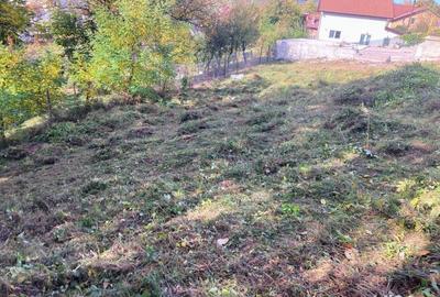 Teren de 1159 mp, în Vlădești - 6