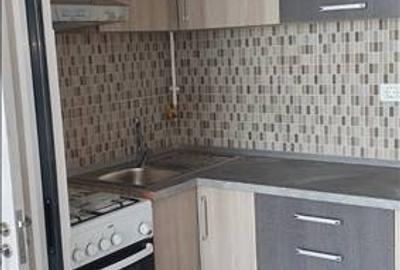 Apartament cu 2 camere decomandat, mobilat în Far - 10