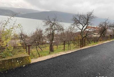 Teren de 379 mp, în Svinița - 1