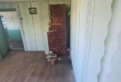 Casă cu 7 camere cu Teren 2424 Mp în Coteana - 1