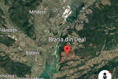 Casă cu 3 camere cu Teren 5513 Mp în Bratia din Deal - 1