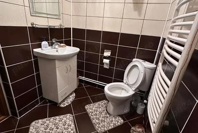 Vila de inchiriat aproape de Targu-Jiu - 4