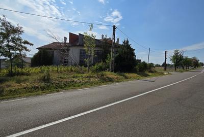Constructii la strada in Cucorani pe 1 ha de teren - 3
