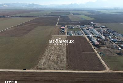 Teren de 643 mp, în Hărman - 9
