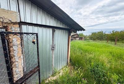 Casă cu 3 camere cu Teren 2509 Mp în Mișca - 15