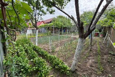 Vand casa Timisoara - 4