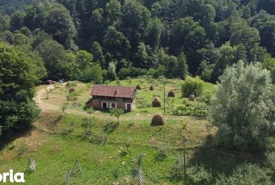 Teren de 6200 mp, în Cicănești - 2