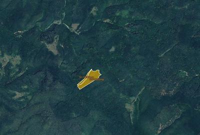 De vanzare teren extravilan - 10 ha - Chisindia, judetul Arad - 4