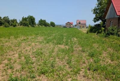 Teren Magura Farbe , 4600m dubla deschidere - 5