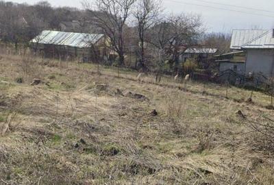 Teren de 700 mp, în Făget - 2