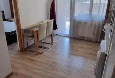 Inchiriere apt 1 camere | curte, gradina privata si parcare - 5