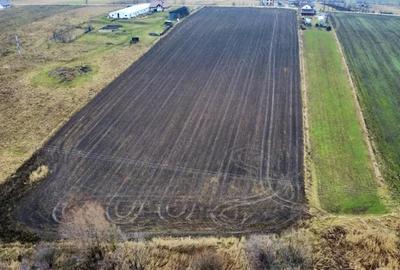 Teren 8.400 mp Negre?ti ideal gospodarie, ferma, natura ?i lini?te - 2